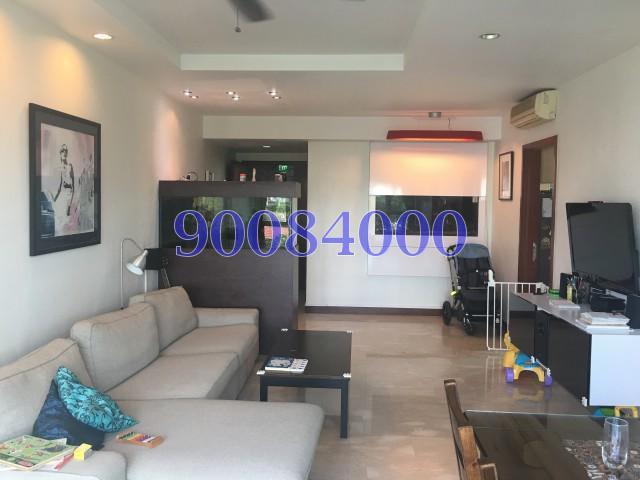 The Madeira thumbnail photo